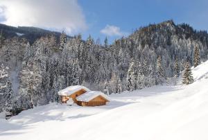 a cabin in the snow on a mountain at Loimoarhütte in Bischofshofen