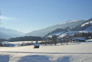 a field covered in snow with mountains in the background at Bauernhaus Hollersbach in Hollersbach im Pinzgau