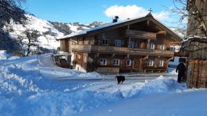 a dog standing in the snow in front of a house at Bauernhaus Brixen in Bichling +16 photos