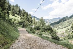 a dirt road on a hill with trees and mountains at Chalet Wildberg in Unterberg +11 photos