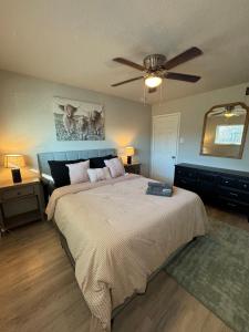 达拉斯1 DT Dallas l FIFA WORLD CUP READY l 5 Min from Downtown的一间卧室配有一张大床和吊扇