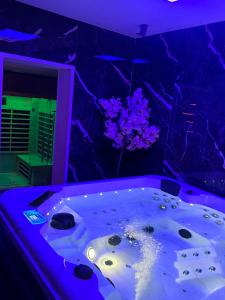 Φωτογραφία από το άλμπουμ του Dream Spa Jacuzzi&Sauna σε Portet-sur-Garonne +4 φωτογραφίες
