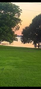 a field of green grass with two trees and a lake at Lakefront Getaway in Lone Oak