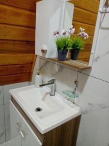 a bathroom sink with two potted plants on a mirror at Cabana Encanto da Mata in Santa Maria do Erval