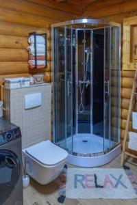 een badkamer met douche en toilet in een kamer bij Holiday house with a parking space Belo Selo, Gorski kotar - 24979 in Donja Slavica