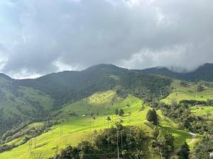 Naturlandskabet i nærheden af feriehuset