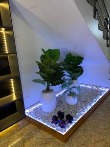 Φωτογραφία από το άλμπουμ του Goldeekion σε Ikuata