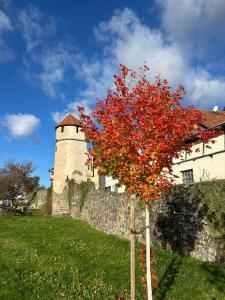 Fotografie z fotogalerie ubytování Burghotel Homberg v destinaci Homberg