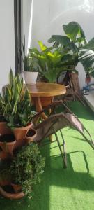 Zahrada ubytování Lodge Mar y Sol