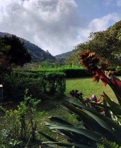a view of a garden with mountains in the background at Casa Charme Jericó Guaramiranga in Guaramiranga
