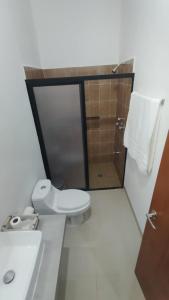 a bathroom with a toilet and a sink and a shower at Casa Mangos in Mérida +8 photos