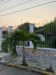 una palmera frente a una valla en Home Rent Minatitlán, en Minatitlán