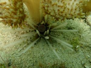 Φυσικό τοπίο κοντά σε αυτό το ξενοδοχείο