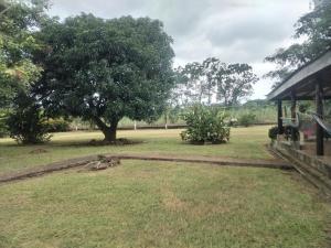 a yard with a tree and a house at Casa Relax La Fortuna in Fortuna