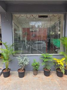 Φωτογραφία από το άλμπουμ του Comfort Villa σε Calangute