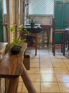 a room with tables and a bench with plants on it at Casa Bonsai in Chetumal