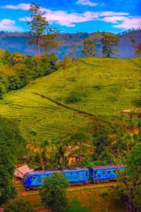 a blue train on the tracks near a hill at The Ceylan Crest ELLA in Ella