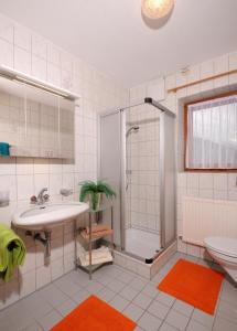 ein Bad mit einer Dusche, einem Waschbecken und einem WC in der Unterkunft Haus Leonhard in Tux