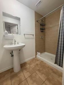 un bagno con lavandino e doccia di Cozy home a Calgary
