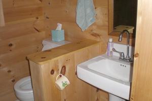 Ένα μπάνιο στο Custom Cabin Surrounded by River in Newfane, Vermont +8 φωτογραφίες