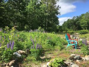 Κήπος έξω από το Custom Cabin Surrounded by River in Newfane, Vermont