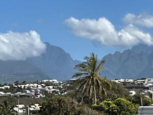 a palm tree in a city with mountains in the background at Horizon - Duplex classé 3 étoiles vues mer et montagne à Terre Sainte in Saint-Pierre