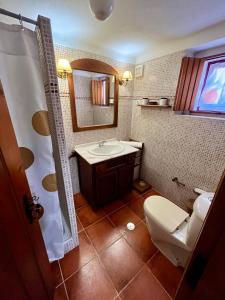 a bathroom with a toilet and a sink and a mirror at Casa do Reguengo (New!) in Castelo de Vide +23 photos