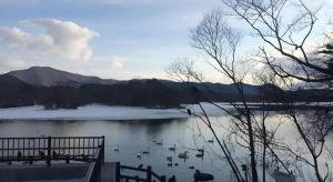 un groupe de canards nageant dans un lac dans l'établissement Station Hotel Asahiya, à Ōnuma