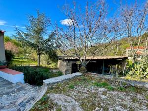 a stone building with a tree in a yard at Casa do Reguengo (New!) in Castelo de Vide
