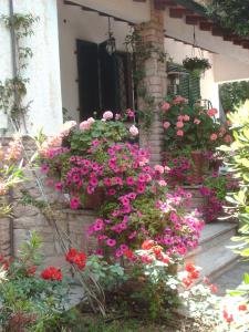 Une bande de fleurs sur le côté d'un bâtiment dans l'établissement La Zattera Camere, à San Vincenzo