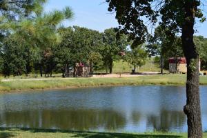 a lake with a tree and a playground in the background at Secluded Getaway on a Vineyard in Allen, Oklahoma in Allen +8 photos
