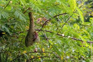 Fotografie z fotogalerie ubytování Bhoomi Organics Farmstay v destinaci Pokhara