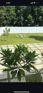 Zahrada ubytování Amec Homes + 4 fotografie