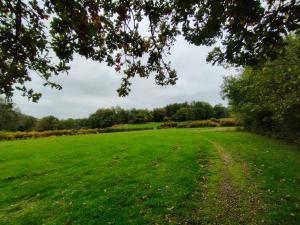 een veld van groen gras met een onverharde weg bij Gîte Chalet Morvan Bourgogne in Corancy