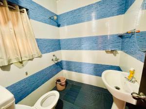 une salle de bain bleue et blanche avec des toilettes et un lavabo dans l'établissement Teyt Castle - Ooty - Nilgiris, à Ooty