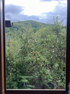 Příroda nedaleko prázdninového domu