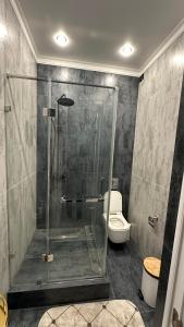 a glass shower in a bathroom with a toilet at Жк Тенгри in Shymkent +3 photos