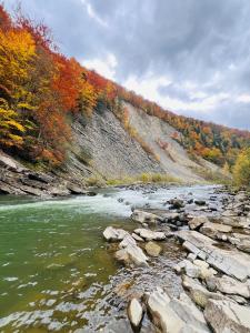 Příroda nedaleko prázdninového domu