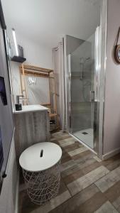 a bathroom with a shower and a toilet and a sink at Studio Le miroir à Saint Aygulf in Saint-Aygulf
