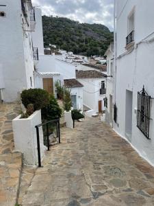 an alley in a town with white buildings at Petit Suite Alegria in Ubrique +4 photos