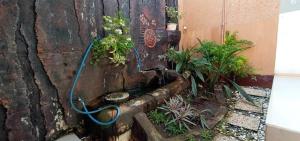 a garden with a water hose attached to a wall at Hotel O Homestay Kita Purworejo in Pangenjurutengah