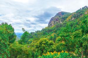 auliculiculiculiculiculiculiculiculiculiculiculiculiculiculic at Hotel Mississipi Ella in Ella