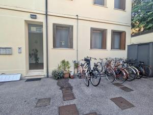 Ποδηλασία στο Mentana Flat, Centro Storico ή στη γύρω περιοχή