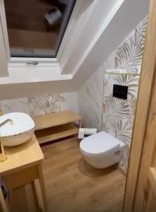 een badkamer met toilet en wastafel bij Domek na Kaszubach u Doroty 