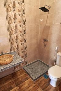 a bathroom with a toilet and a shower at Sun Temple Palace in Cairo