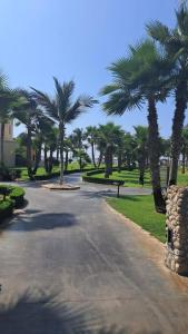 a street with palm trees in a park at Hawana Salalah Tourism in Ma‘mūrah