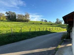 een weg in een veld met koeien in de verte bij Chambres d'hôtes , Guest house in Chainaz-les-Frasses