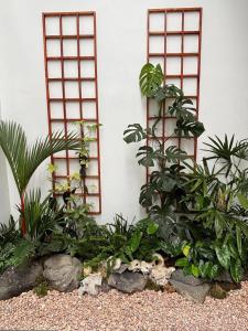 a garden with three oriental plants in front of a building at Mai House Jogja in Piyungan
