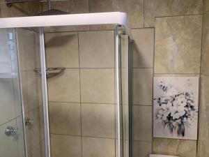 a shower in a bathroom with a painting on the wall at GRACE self-catering apartments in Goodwood