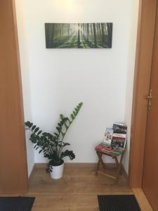 Thư viện trong nhà khách